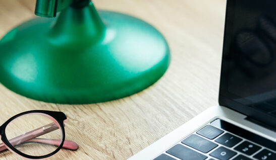 We have held webinars for social workers from Chernihiv and Dnipropetrovsk regions