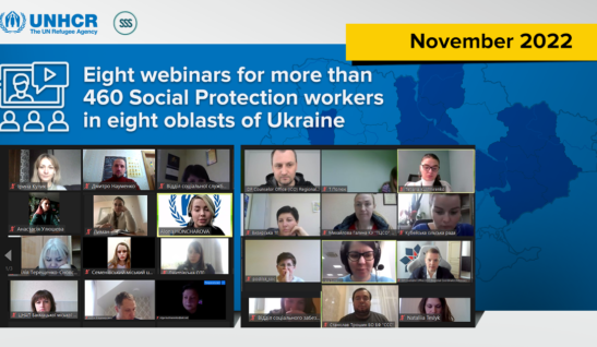 In November we held eight webinars for Social Protection workers