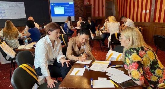 Рада з питань внутрішньо переміщених осіб