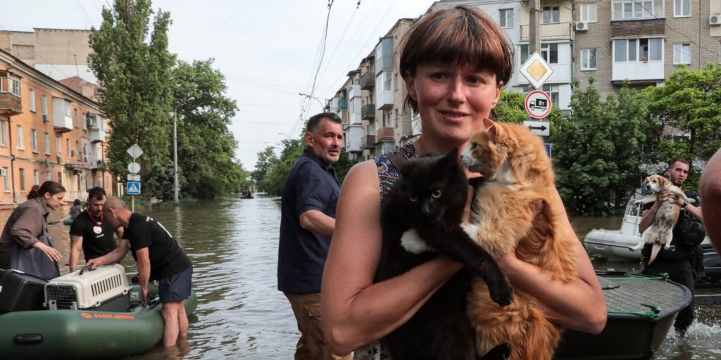 Lifesaving and Gender-Sensitive Shelter and Protection Assistance for Conflict-Affected Populations in Dnipropetrovska Oblast in Eastern Ukraine As Well As Rapid Emergency Support to Affected Population in Khersonska Oblast in Southern Ukraine (Destruction of the Kakhovka Dam)
