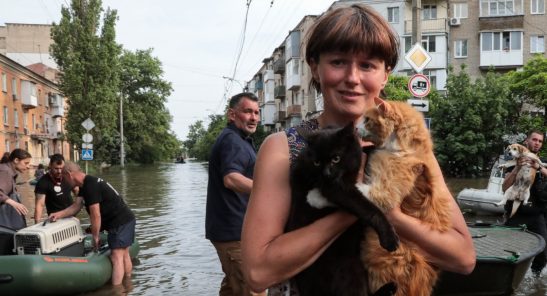 “Життєво важлива та гендерно-чутлива допомога з надання житла та захисту постраждалому від конфлікту населенню в Дніпропетровській області на сході України, а також швидка надзвичайна допомога постраждалому населенню в Херсонській області на півдні України (руйнування Каховської дамби)”