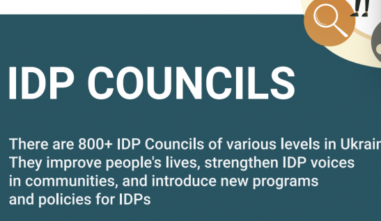 IDP Councils