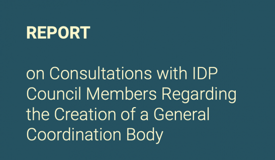 Report on Consultations with IDP Council Members Regarding the Creation of a General Coordination Body