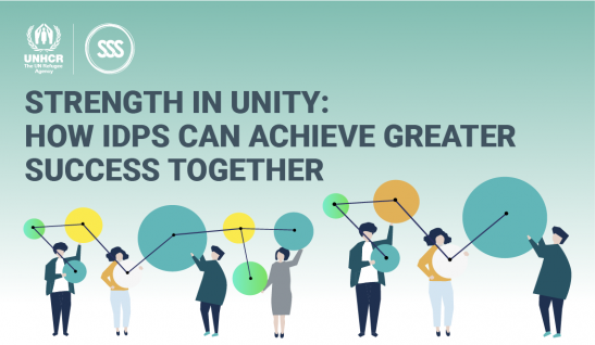 Strength in Unity: How IDPs Can Achieve Greater Success Together