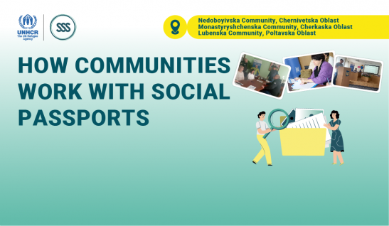 Special Project: How Communities Work with Social Passports. The Experiences of Nedoboyivska, Monastyryshchenska, and Lubenska Communities