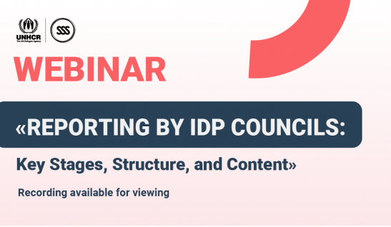 How to Prepare an IDP Council Report? Key Insights from the Webinar