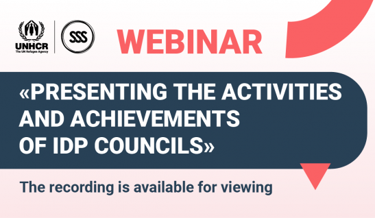 How to Present the Work and Achievements of the IDP Councils? Insights from the Webinar