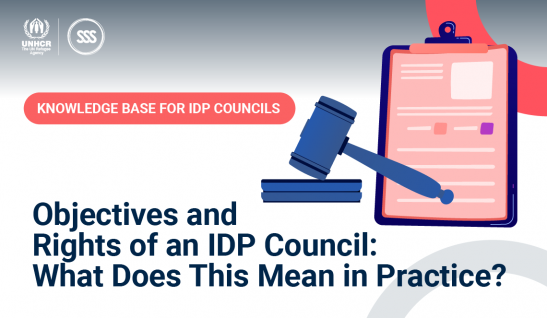 Objectives and Rights of an IDP Council: What Does This Mean in Practice?