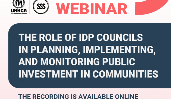 The Role of IDP Councils in Planning, Implementing, and Monitoring Public Investment in Communities: Discussion at a Webinar